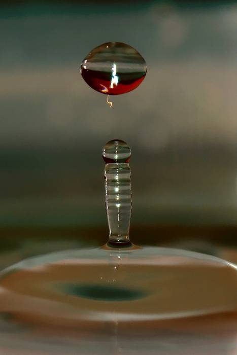 Gota