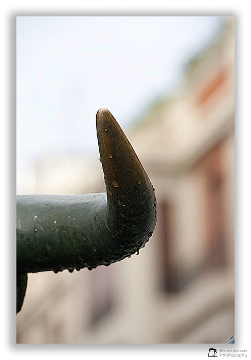 Homenaje al Encierro