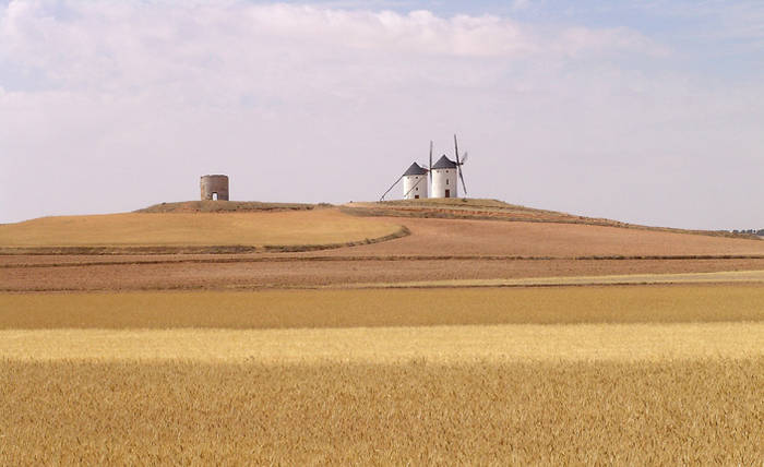 Paisaje manchego