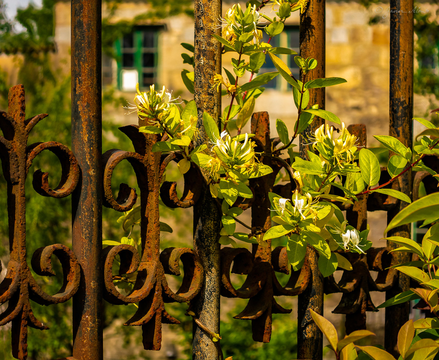 DSC7750-HDR-Pano-Editar