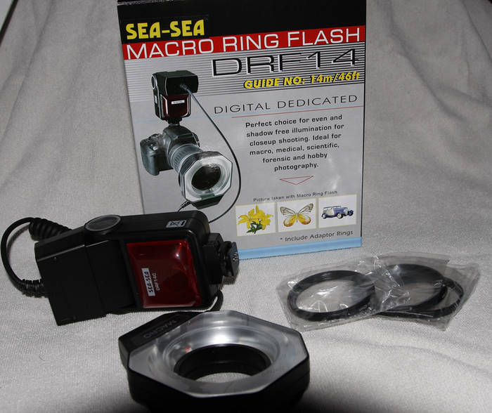 FlashSea_Sea