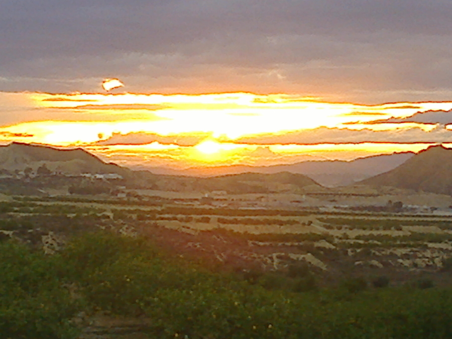 Foto0010