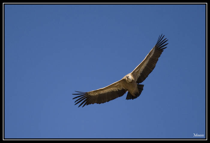 Hoces_Duraton_0166_canon