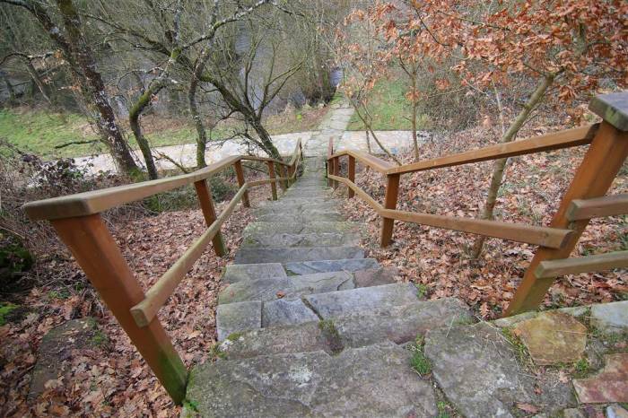 IMG_0484_Large_Large_