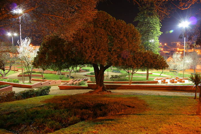 un parque de noche