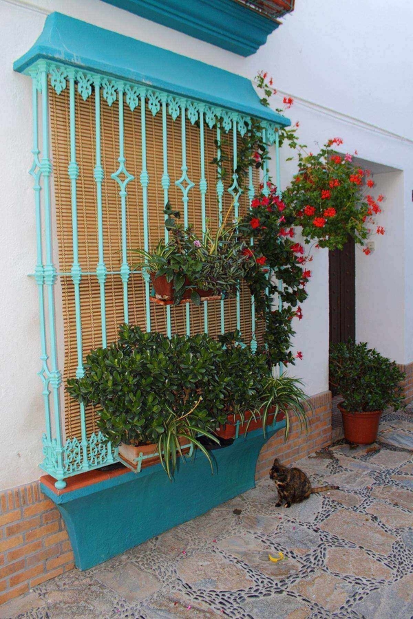 Ventanas o balcones