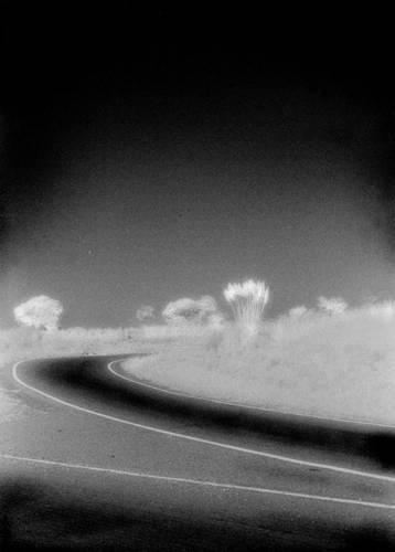 La vuelta del Camino