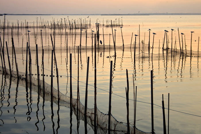 Albufera