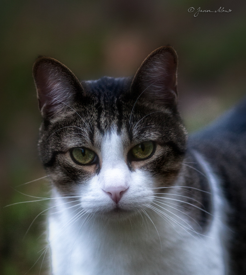 MG_2129-Editar