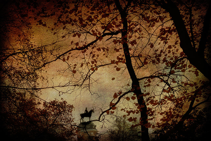 MG_8993-como-objeto-inteligente-1bistext