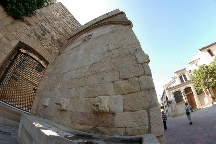 Pruebas-Samyang-0783