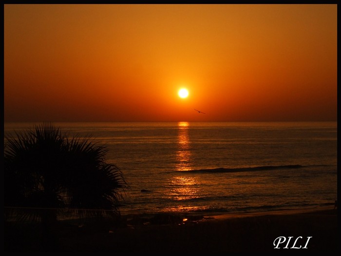 Puesta de Sol