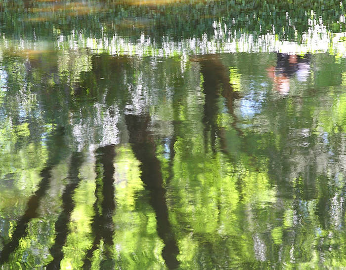 reflejo agua