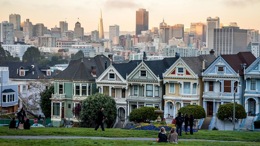 San Francisco Painted Ladies