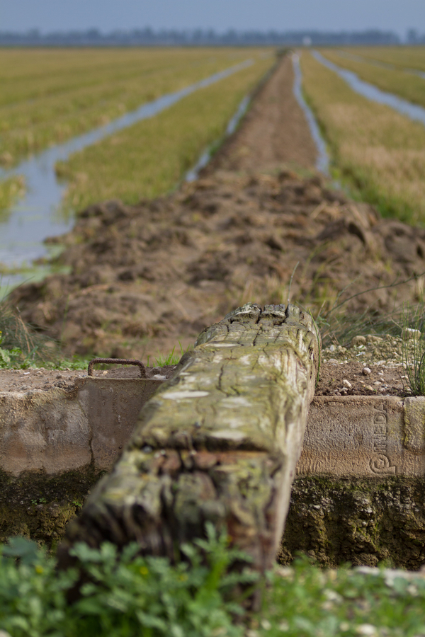 Taller en el Delta del Ebro