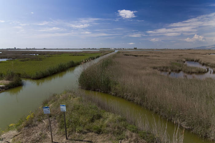 Delta del Ebro -