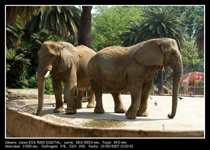 Zoo1