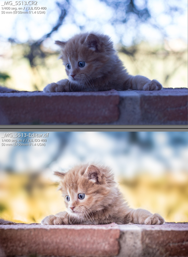 Antes y despues