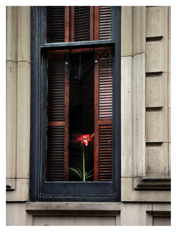 ventana