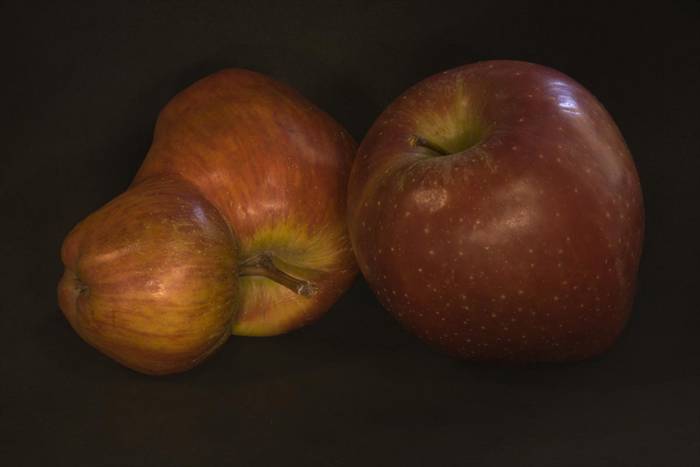 La familia manzana