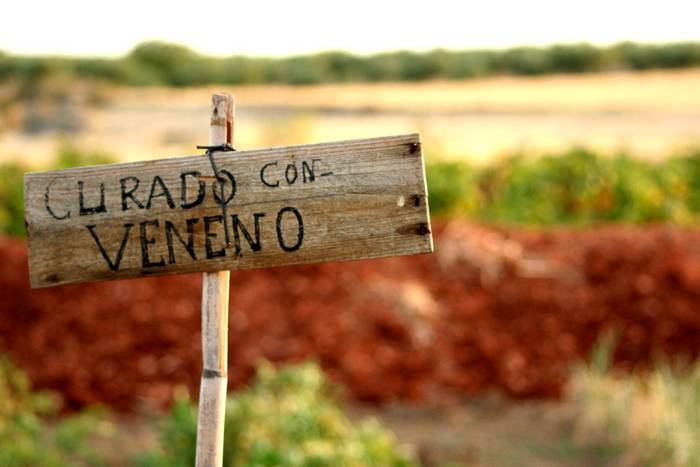 Curado