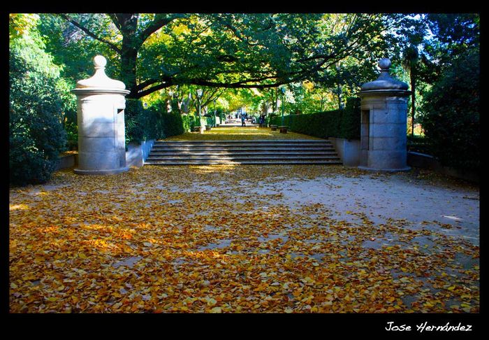 jardinbotanico-oto_o_copia