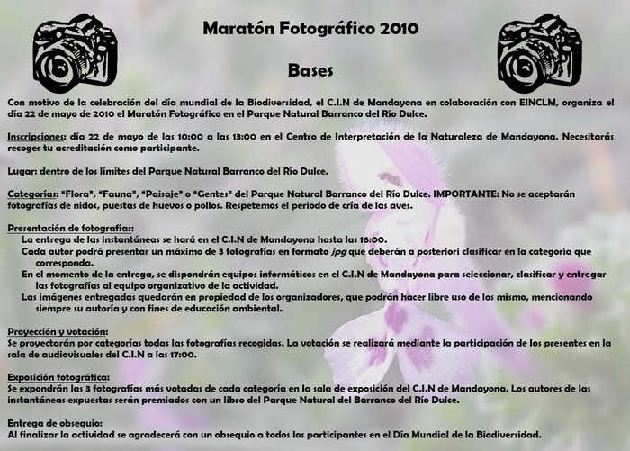 maraton_fotografico