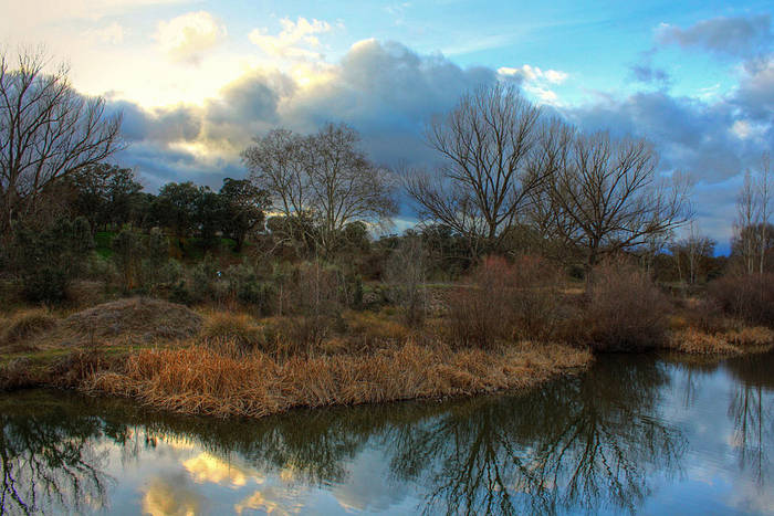 Cuenca del Manzanares (2) - El Pardo, Madrid