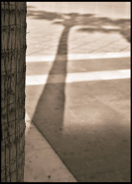 Sol y sombra