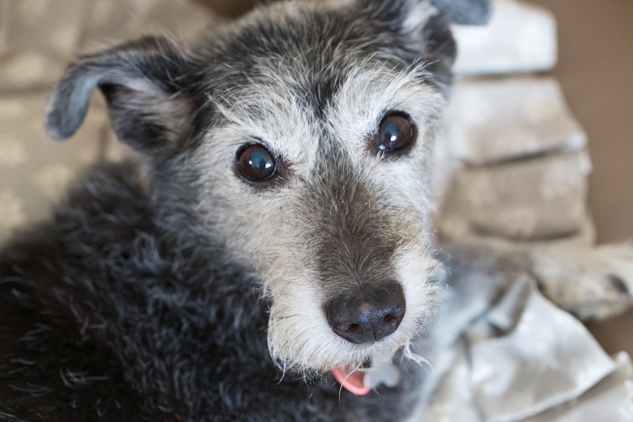 24 Gymkana Canonistas