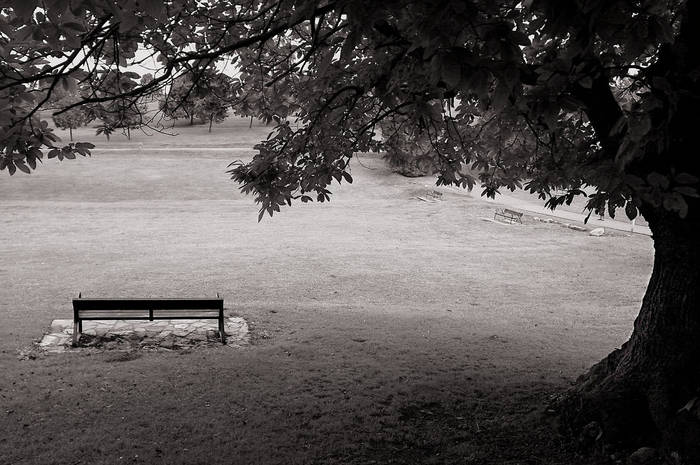 Vistas al parque
