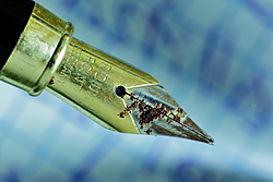 001_Macro.JPG