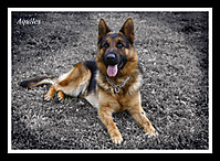 01-05-11_Aquiles_F_WEB.jpg