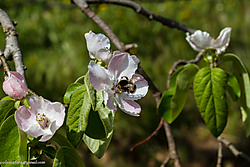 02042012-_MG_9842.JPG