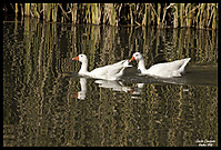 054-Editar-Editar-Editar-Editar.jpg