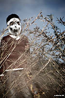 080210_9875f2.jpg