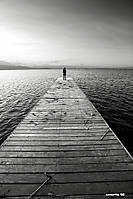 081108_8667f.jpg