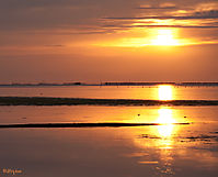 091010-TallerDeltaEbre-063-Edit-Edit-web.jpg
