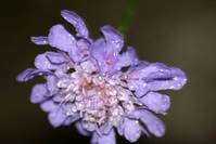 0d90262b03acc2900de37b94a9c8ee22.jpg
