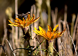 1-IMG_2645.jpg