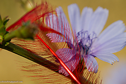 10062012-_MG_1254.JPG