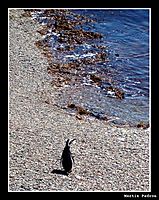 100_0510_borde_.JPG