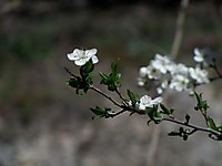 100_1341.jpg