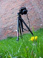 100_4901.JPG