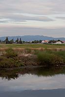 10102009-101009-delta_de_l_ebre-086.jpg