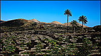 10_04_11_lanzarote.jpg