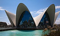 12042010-IMG_4420-25_copia_web.jpg