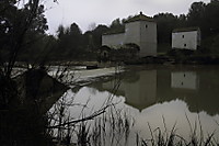 13032011_Molino_2.JPG
