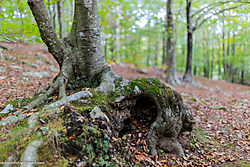 15102013-_P5A0610.JPG