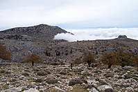 2004-11-EXCURSION_LOS_QUIJIGALES-013.jpg